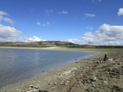 Прикрепленное изображение: IMG_0187.JPG